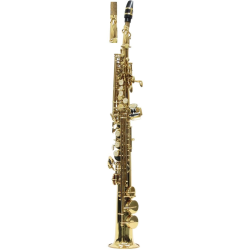 SAXOFON SOPRAN J. MICHAEL SP650-S
