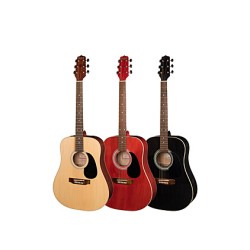 CHITARA ACUSTICA WESTERN 12204 HORA REGHIN