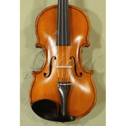 Vioara Gliga 1/10 - Genial 1 S-V110