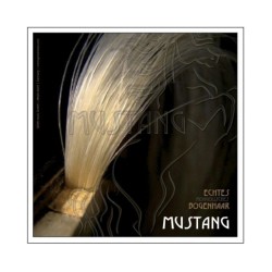 Par arcus vioara/viola - Gewa Mustang