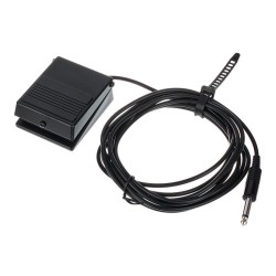 ROLAND DP 2 SUSTAIN